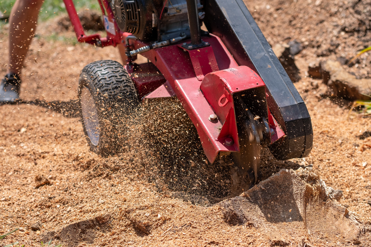 Advantages of Stump Grinding